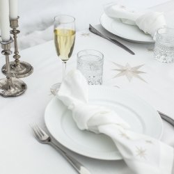 Stofserviet med Broderet Slvstjerne