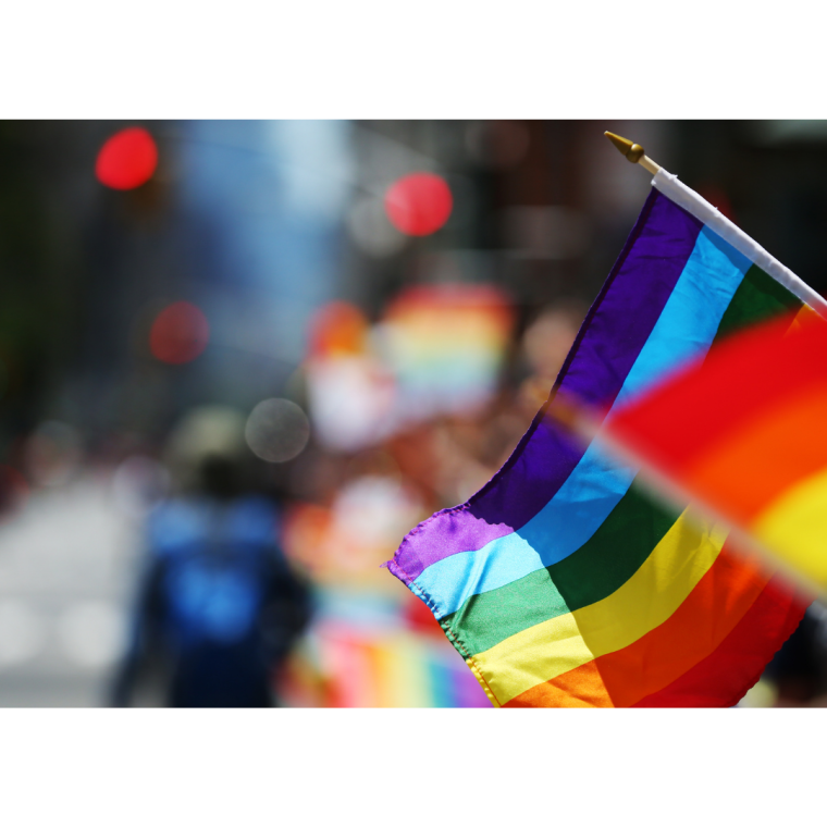 Regnbgsflagga p pinne