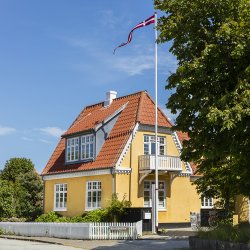Dannebrogstander - 1219