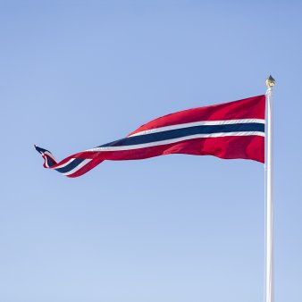 VIMPLER & NAVNEVIMPLER