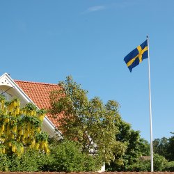 Svensk flagg