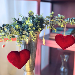 Silkevelourhjerte, rdt