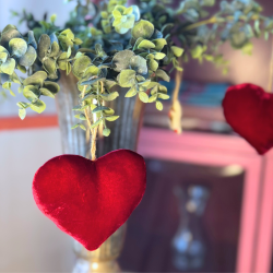 Silkevelourhjerte, rdt